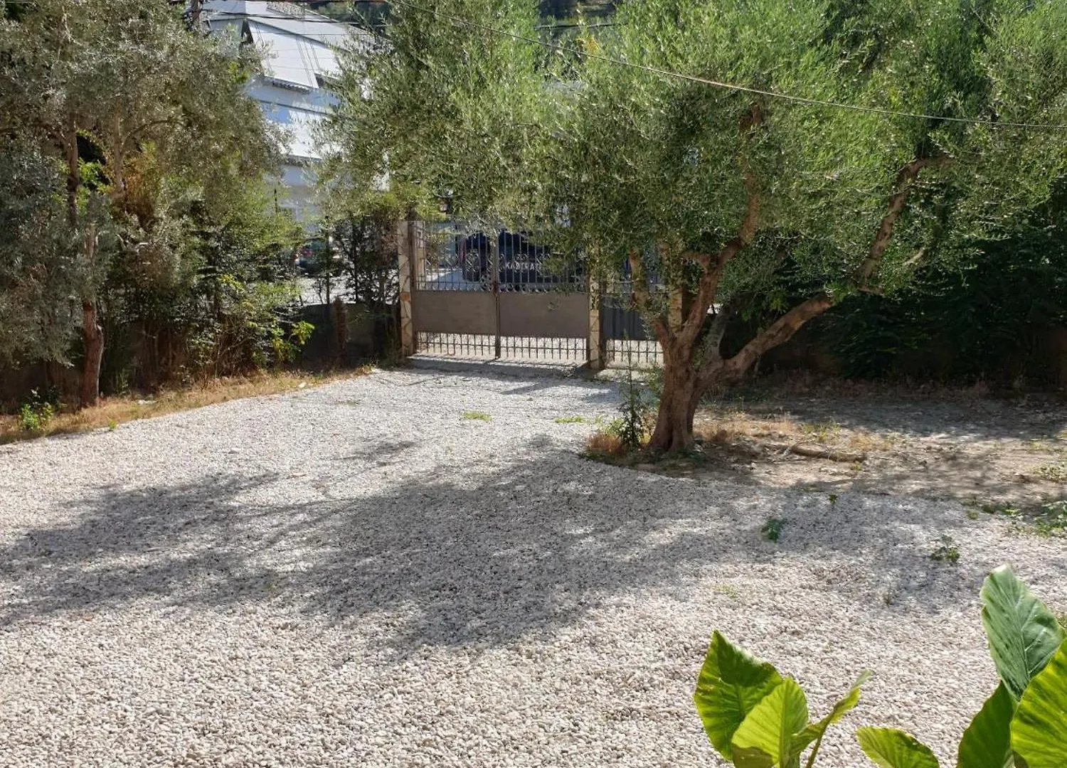 Centre Vlore Guest House